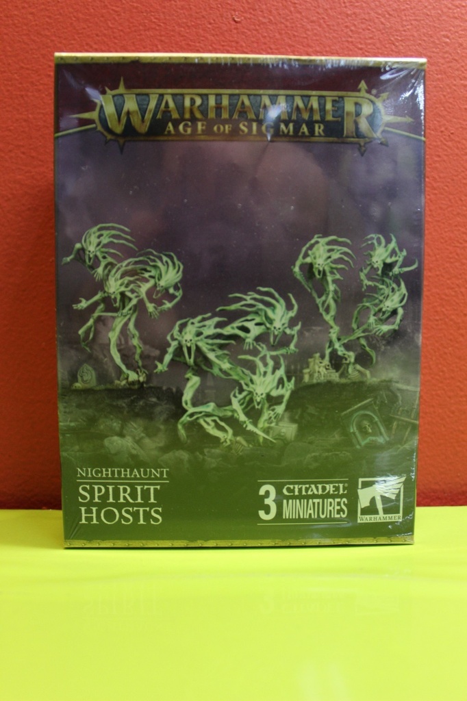 Games Workshop Warhammer Age of Sigmar Nighthaunt Spirit Hosts